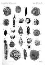 giornale/GEA0048100/1907-1909/unico/00000273