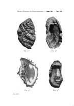 giornale/GEA0048100/1907-1909/unico/00000306