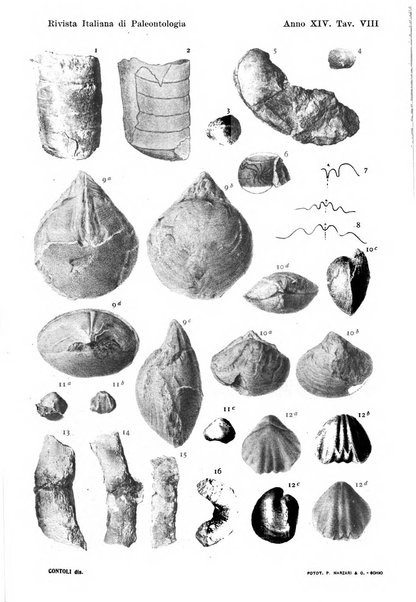 Rivista italiana di paleontologia