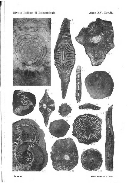 Rivista italiana di paleontologia