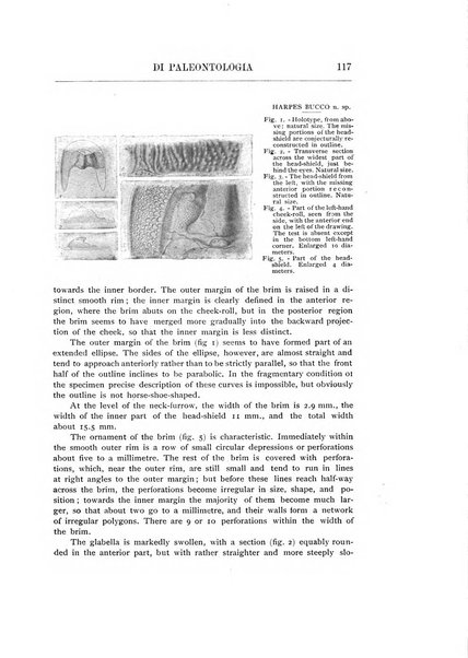 Rivista italiana di paleontologia