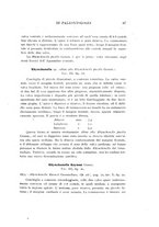 giornale/GEA0048100/1910-1912/unico/00000109