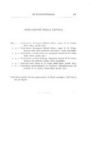 giornale/GEA0048100/1910-1912/unico/00000383