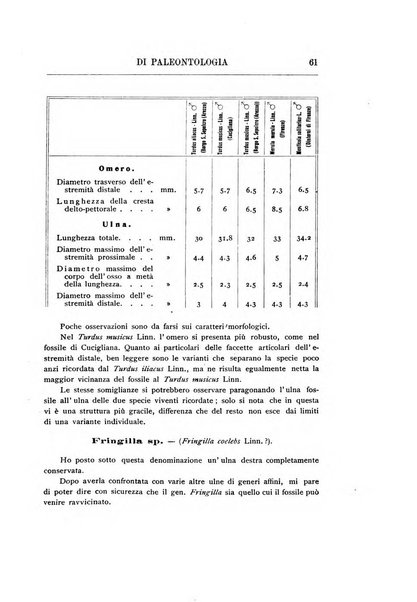 Rivista italiana di paleontologia