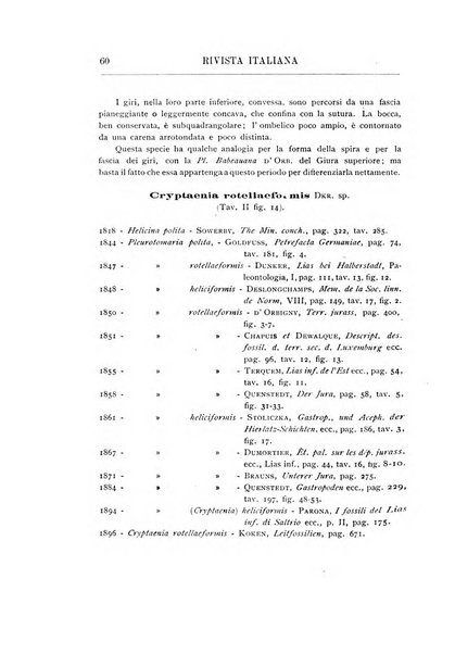 Rivista italiana di paleontologia