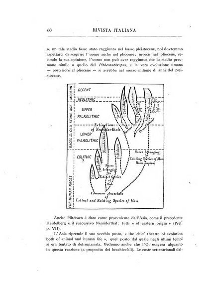 Rivista italiana di paleontologia