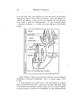 giornale/GEA0048100/1916/unico/00000084