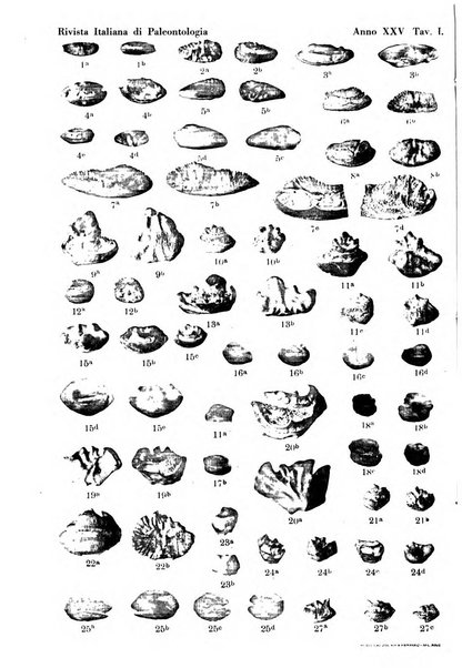 Rivista italiana di paleontologia