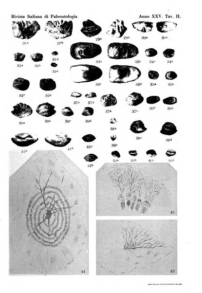 Rivista italiana di paleontologia