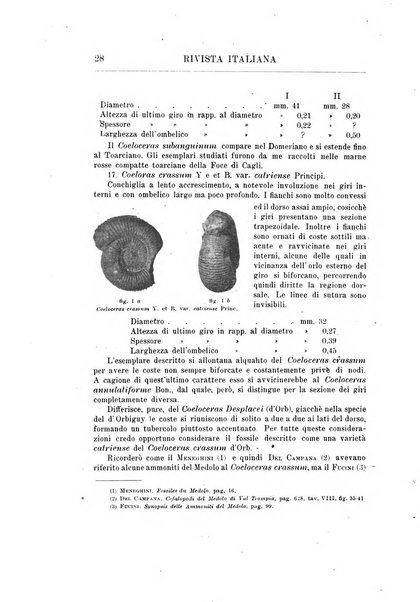 Rivista italiana di paleontologia