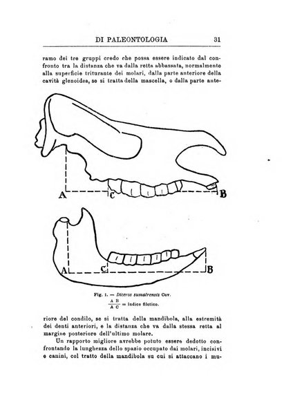 Rivista italiana di paleontologia