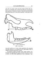 giornale/GEA0048100/1925-1926/unico/00000105