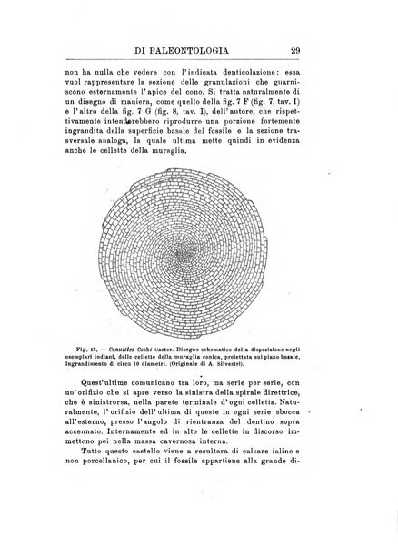 Rivista italiana di paleontologia