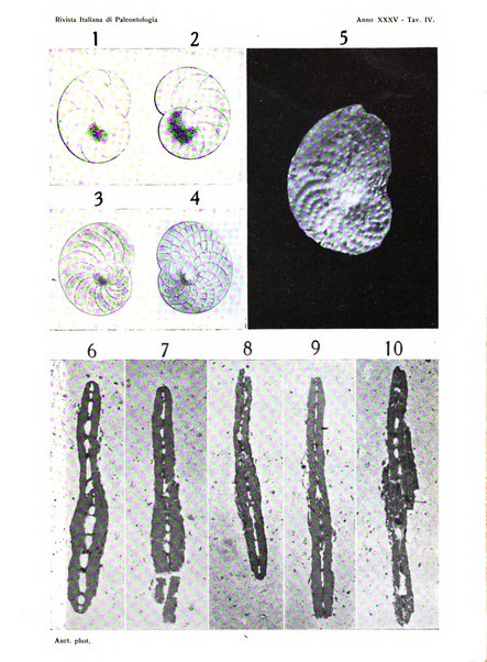 Rivista italiana di paleontologia