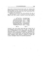 giornale/GEA0048100/1931/unico/00000073