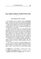 giornale/GEA0048100/1933/unico/00000053