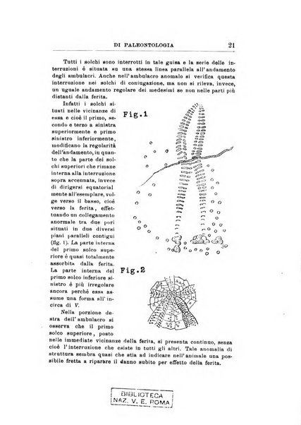 Rivista italiana di paleontologia