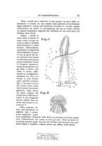 giornale/GEA0048100/1936/unico/00000035