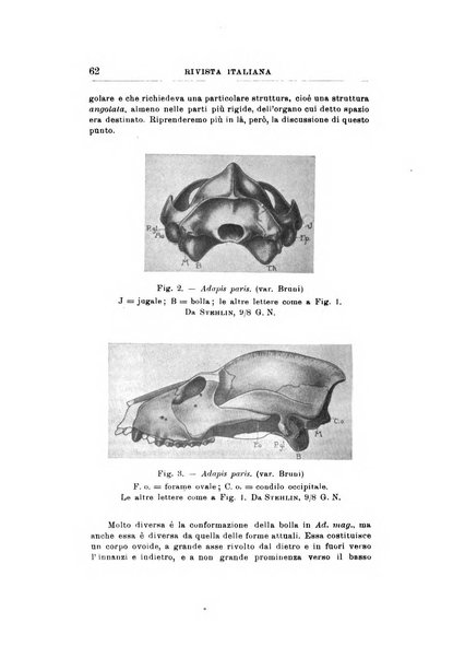 Rivista italiana di paleontologia