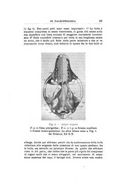 Rivista italiana di paleontologia