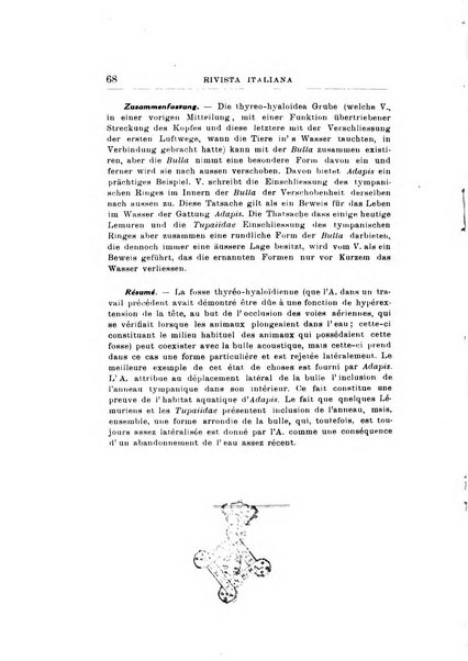 Rivista italiana di paleontologia