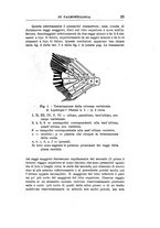 giornale/GEA0048100/1939-1940/unico/00000117