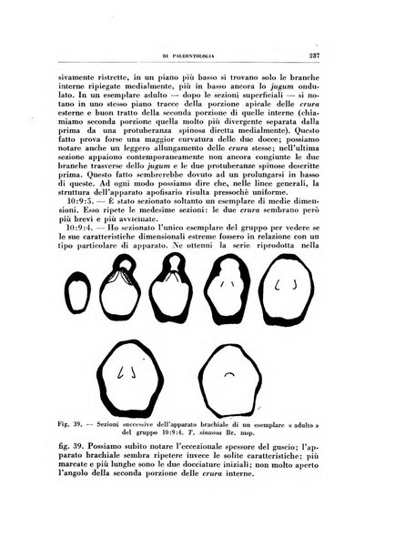 Rivista italiana di paleontologia