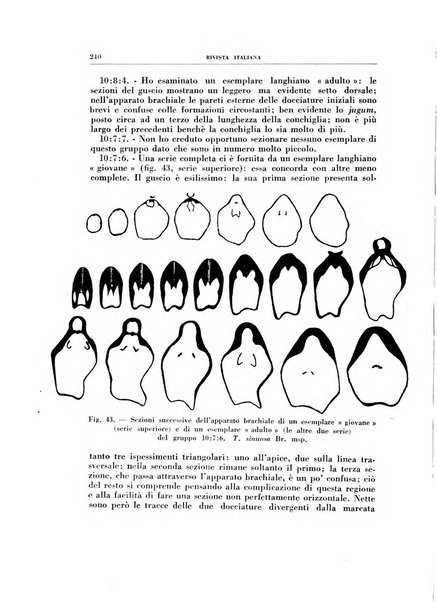 Rivista italiana di paleontologia