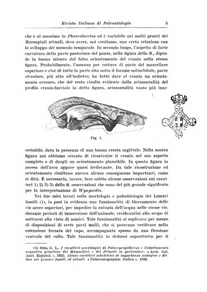 Rivista italiana di paleontologia