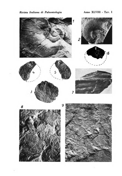 Rivista italiana di paleontologia