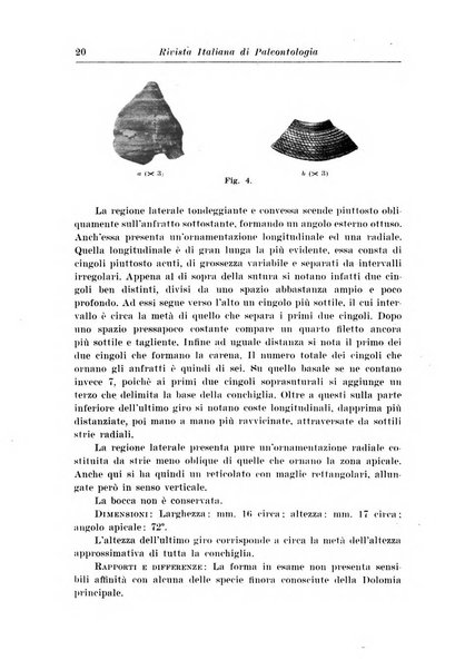 Rivista italiana di paleontologia