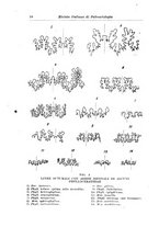 giornale/GEA0048100/1943-1944/unico/00000102