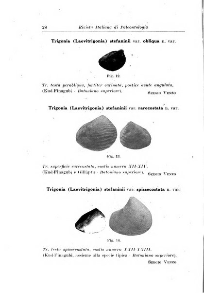 Rivista italiana di paleontologia