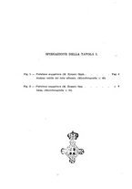 giornale/GEA0048100/1945-1946/unico/00000150