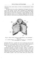 giornale/GEA0048100/1945-1946/unico/00000207