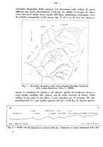 giornale/GEA0053226/1941/unico/00000167