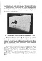 giornale/GEA0053226/1943-1944/unico/00000329