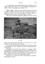 giornale/IEI0013444/1923/unico/00000411