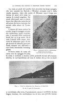 giornale/IEI0013444/1924/unico/00000291