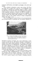 giornale/IEI0013444/1927/unico/00000059