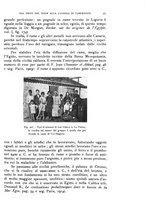 giornale/IEI0013444/1927/unico/00000091