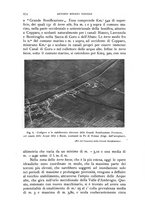 giornale/IEI0013444/1927/unico/00000234