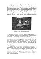 giornale/IEI0013444/1928/V.9.2/00000682