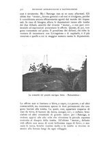 giornale/IEI0013444/1930/unico/00000366