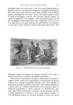 giornale/IEI0013444/1930/unico/00000751