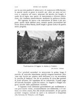 giornale/IEI0013444/1930/unico/00001260