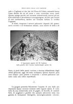 giornale/IEI0013444/1931/unico/00000035