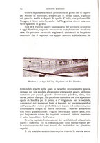 giornale/IEI0013444/1931/unico/00000128