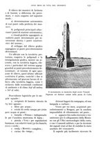 giornale/IEI0013444/1934/unico/00000211