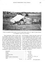 giornale/IEI0013444/1934/unico/00000367